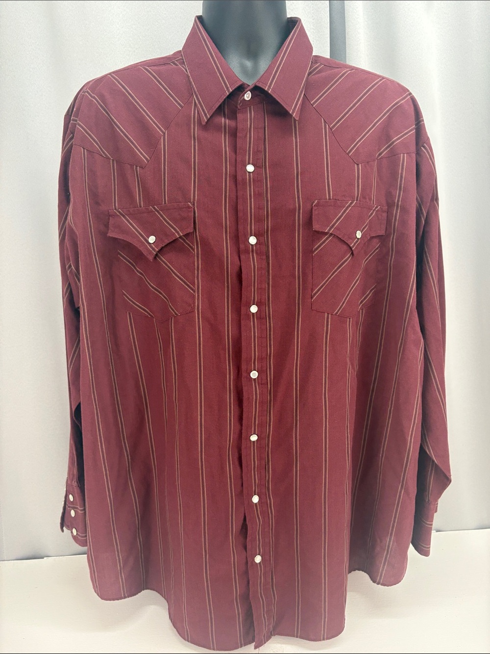 Ely Plains Western Pearl Snap 2X Shirt